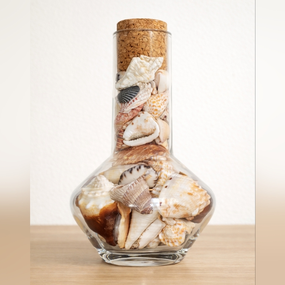 Coastal Shell Glass Jar 9 Inch